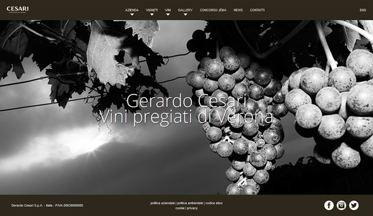 Gerardo Cesari S.p.a. | Homepage